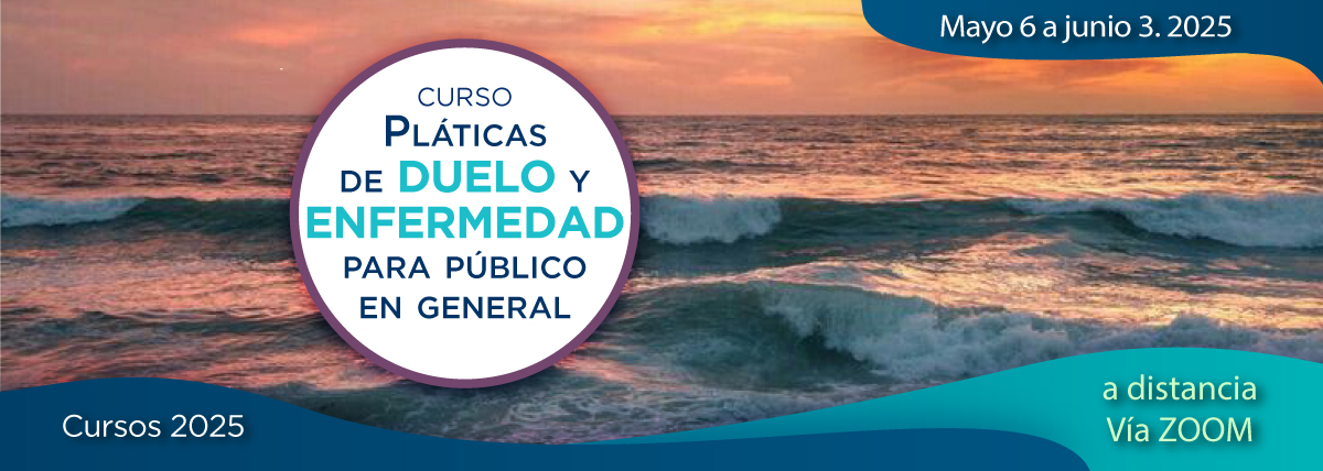 CursoDueloCarrusel-2025
